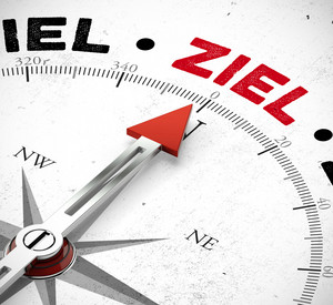 Kompass, dessen Nadel auf das Wort ZIEL zeigt.