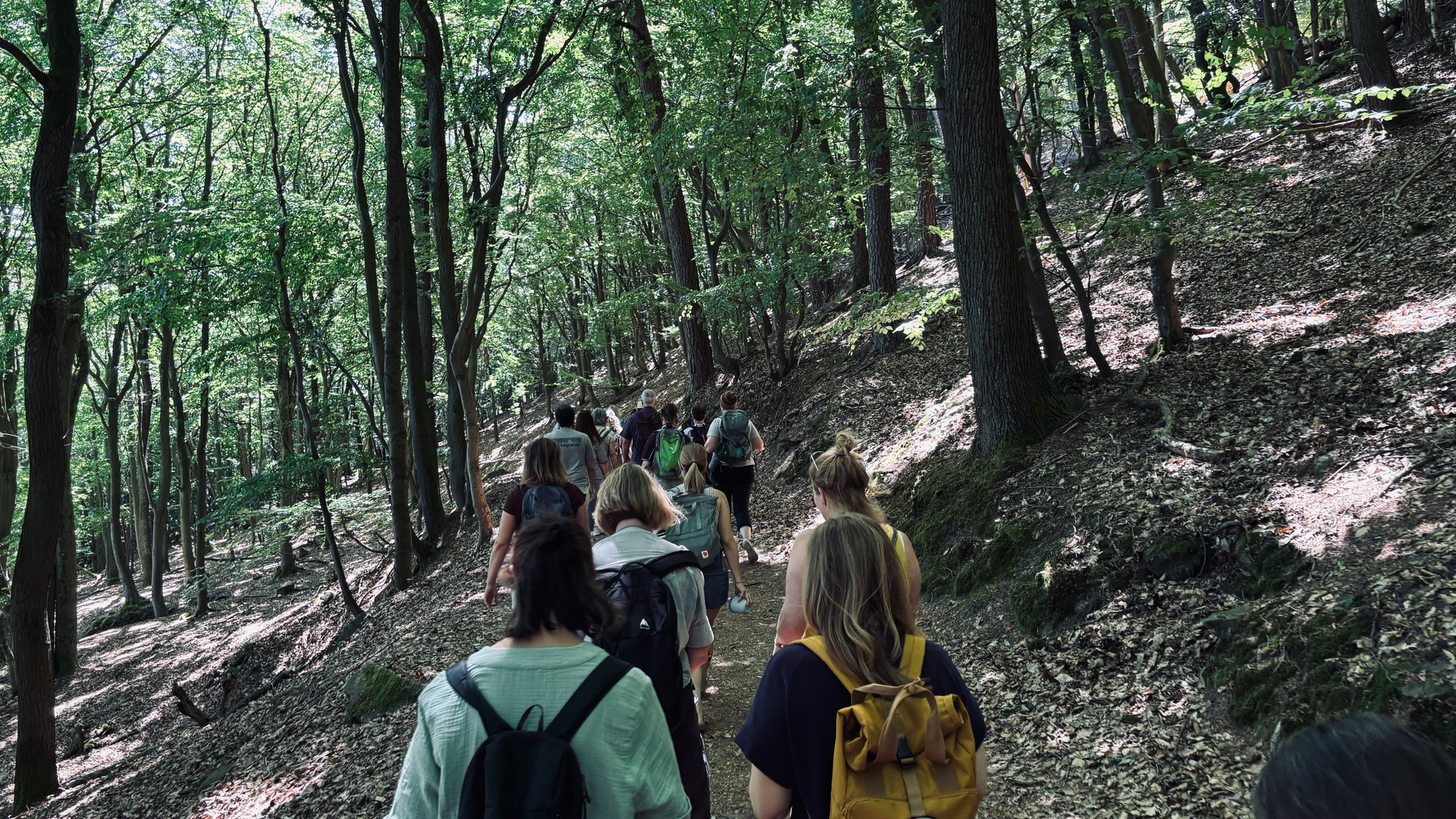 Kolleginnen und Kollegen des Studienseminars von hinten, wie sie einen Waldweg entlang wandern