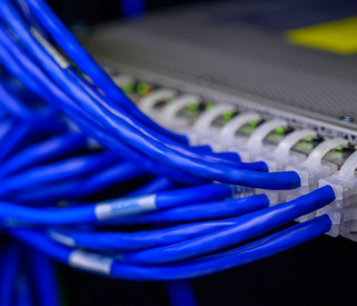 Netzwerkkabel in Switch