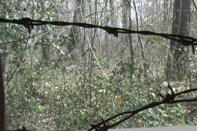 Ausstellung zur Lebensgeschichte von Menschen, die „anders“ waren