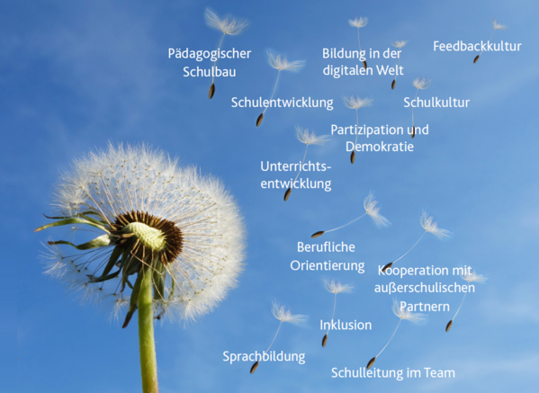 Pusteblume mit den Themen der Hospitationsschulen