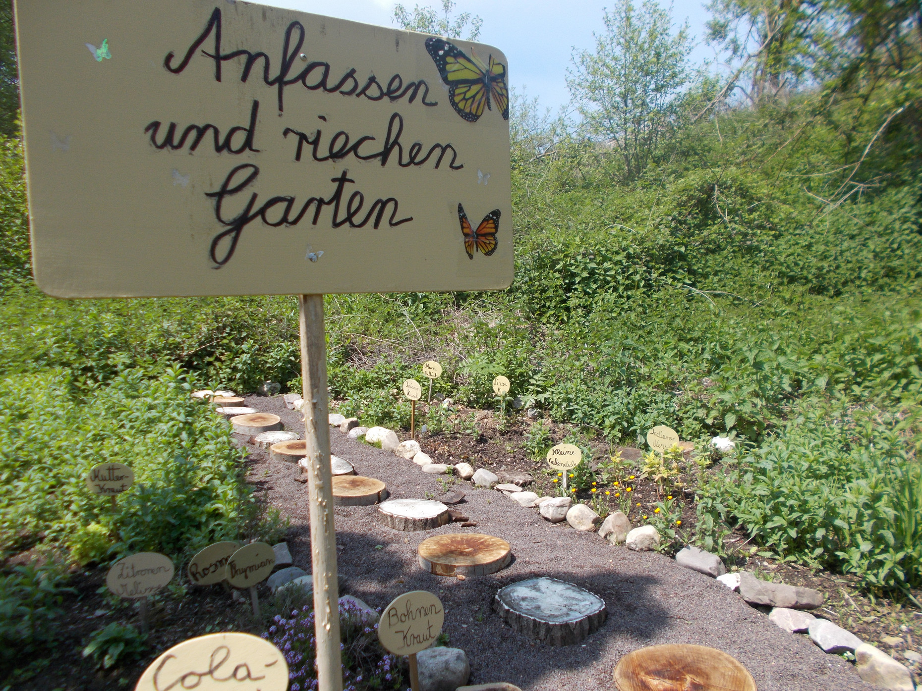 Sinnes-Beet im Schulgarten der Josef-Guggenmoos-Grundschule, Dahlheim, Deutschland; sensory bed in the school garden of the Josef Guggenmoss primary school in Dahlheim, Germany