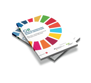 Illustration: Grafik zweiter übereinander gelegter OR-GOS-Bücher