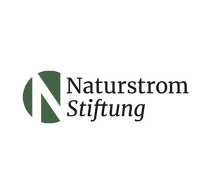 Logo Naturstrom-Stiftung