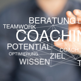 Netz mit Wörtern zu Beratung, Teamwork, Coach. Person im Hintergrund 