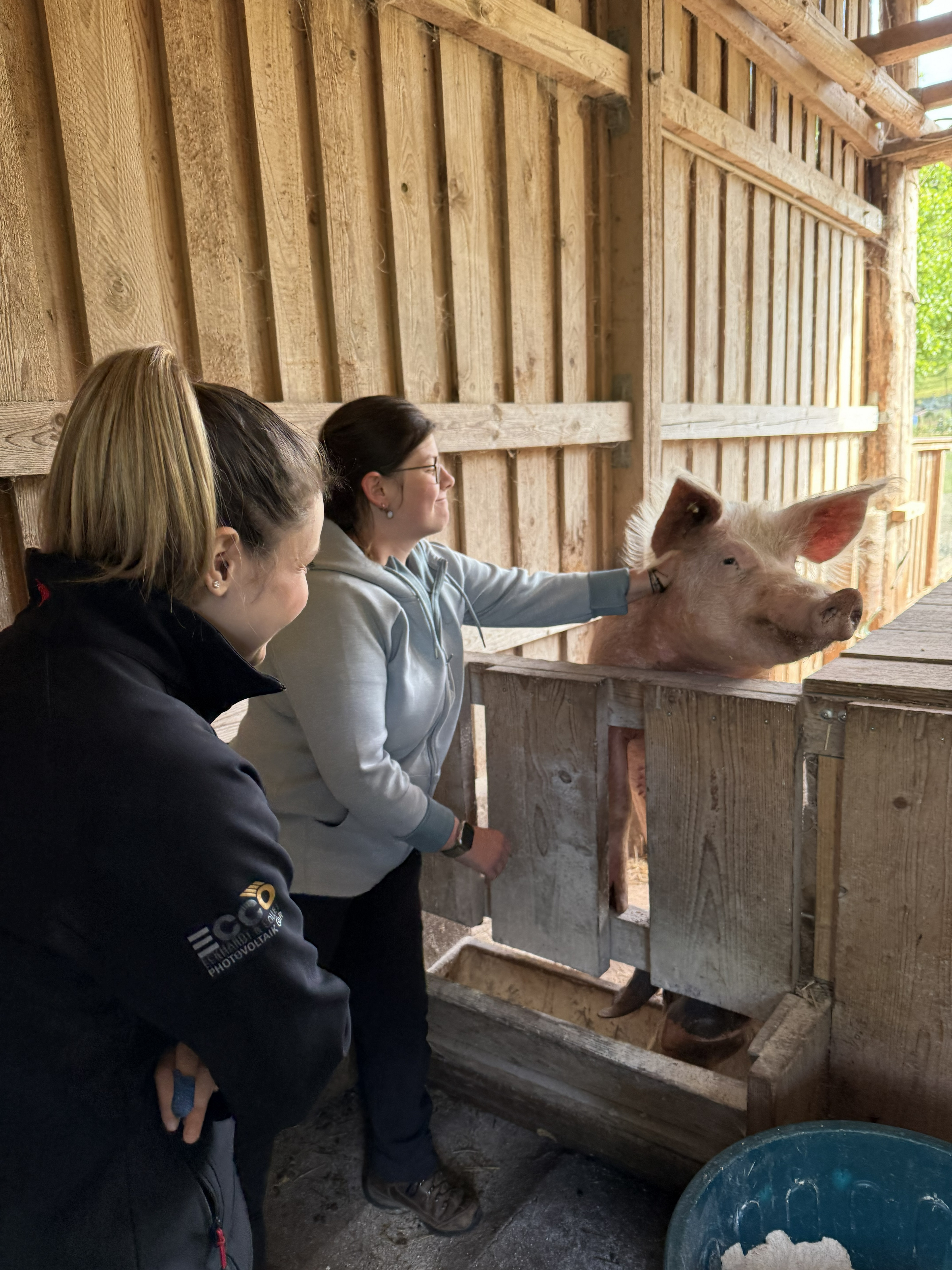 Zwei Anwärterinnen stehen vor dem Schweinegehege. Eine streichelt dem Schwein den Kopf.