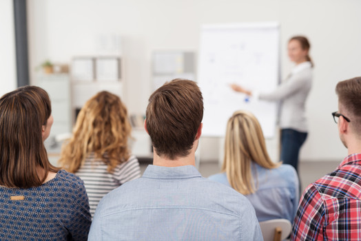 Foto einer Frau, die einen einen Vortrag am Flipchart vor einer Gruppe erwachsener Personen hält.