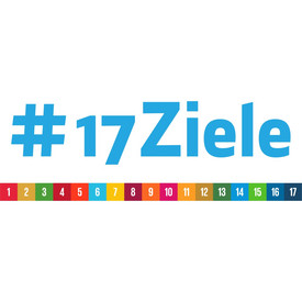 17 Ziele