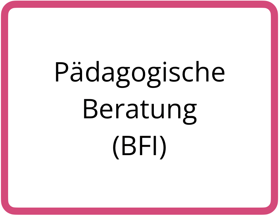 Pädagogische Beratung (Beraterinnen und Berater für Inklusion)