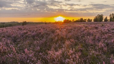 Heimat Natur