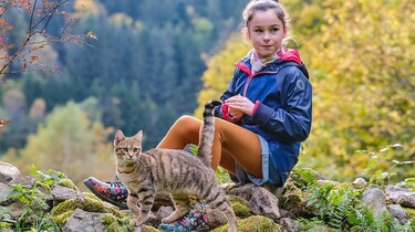 Lou - Abenteuer auf Samtpfoten