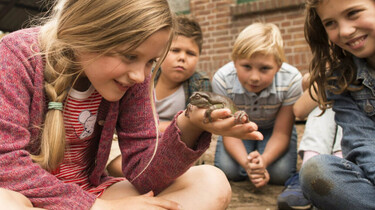 Hilfe, unser Lehrer ist ein Frosch, Little Dream Entertainment 2017
