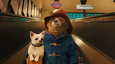 Paddington, Studio Canal 2014